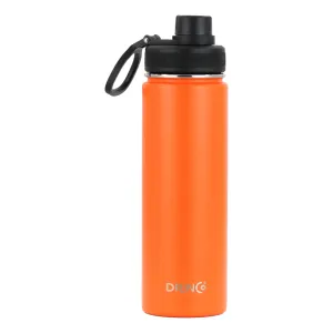 🍊 Citrus Rush | DRINCO® 22oz Stainless Steel Sport Bottle