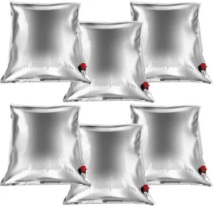 6 Pcs 32 Gallon Camping Water Storage Containers 5.3 Gallon/ 20L Water Bladders Collapsible Portable Emergency Water jug with Spigot Aluminized for Outdoor Hiking Camping Fishing, Silver