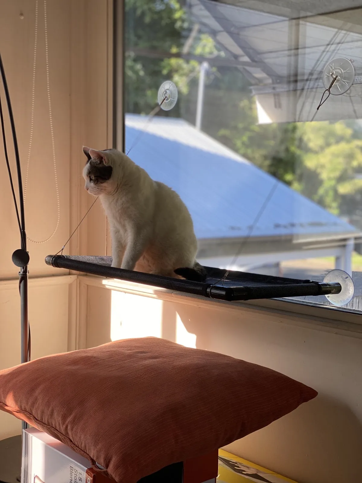 Bed Pet One Window Hammock 67x40cm - Black