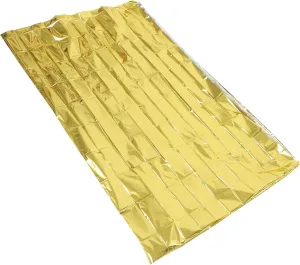 BESPORTBLE Thermal Survival Blanket Set 10 Pieces Reflective Emergency Blankets Waterproof Windproof Sunproof for Hiking Camping Cycling and Outdoor Adventure