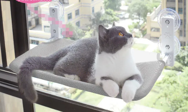 Cat Window Hammock Bed with Suction Cups – Space-Saving Glass Mounted Cat Lounger