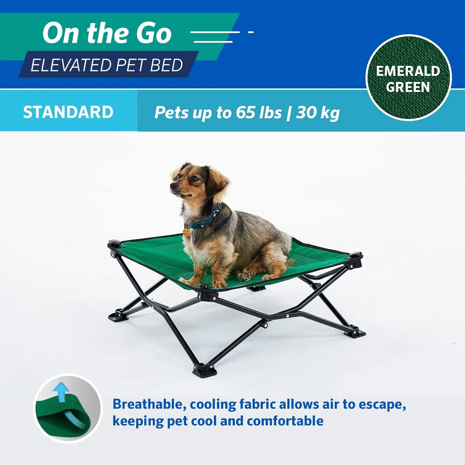 Coolaroo On-The-Go Elevated Dog Bed - Foldable Pop-Up Travel Dog Bed with Breathable, Moisture-Resistant Fabric, Carry Bag Included, Lightweight & Portable, Emerald Green, Standard