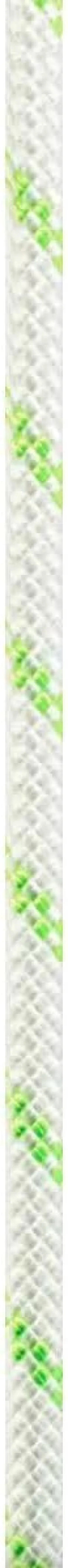 EDELRID Pintail Rope 10mm, Snow, 100m, 713491000470