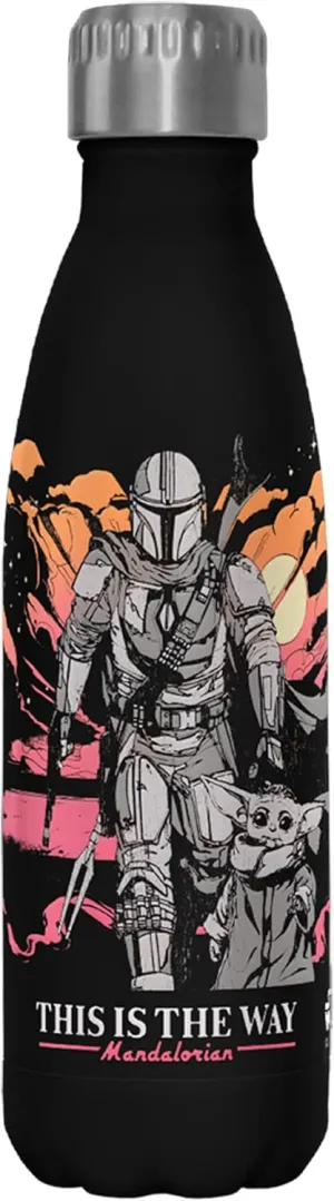 Fifth Sun Star Wars: The Mandalorian Hero's of The Galaxy Stainless Steel Water Bottle