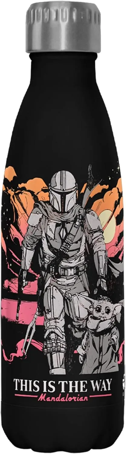 Fifth Sun Star Wars: The Mandalorian Hero's of The Galaxy Stainless Steel Water Bottle