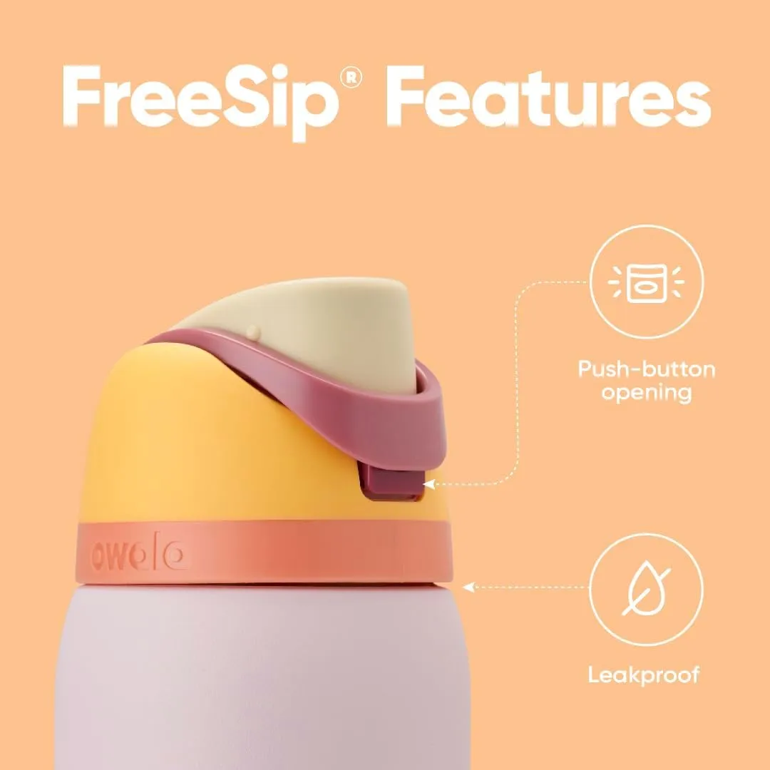 FreeSip Insulated Stainless Steel Water Bottle with Straw for Sports and Travel, BPA-Free Sports Water Bottle, 32 oz, Candy Store