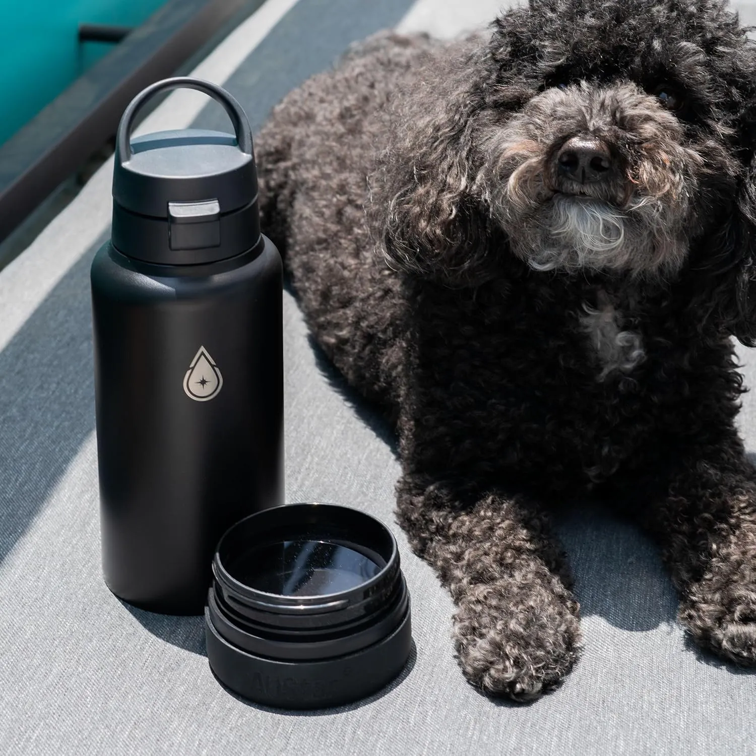 Fruit Infuser Water Bottle with Hidden Compartment - Water Infuser - Infusion Water Bottle - Hot and Cold Water Bottle - Dishwasher Safe Water Bottle - Dog Bottle - Black Water Bottle - 26 oz (Caviar)