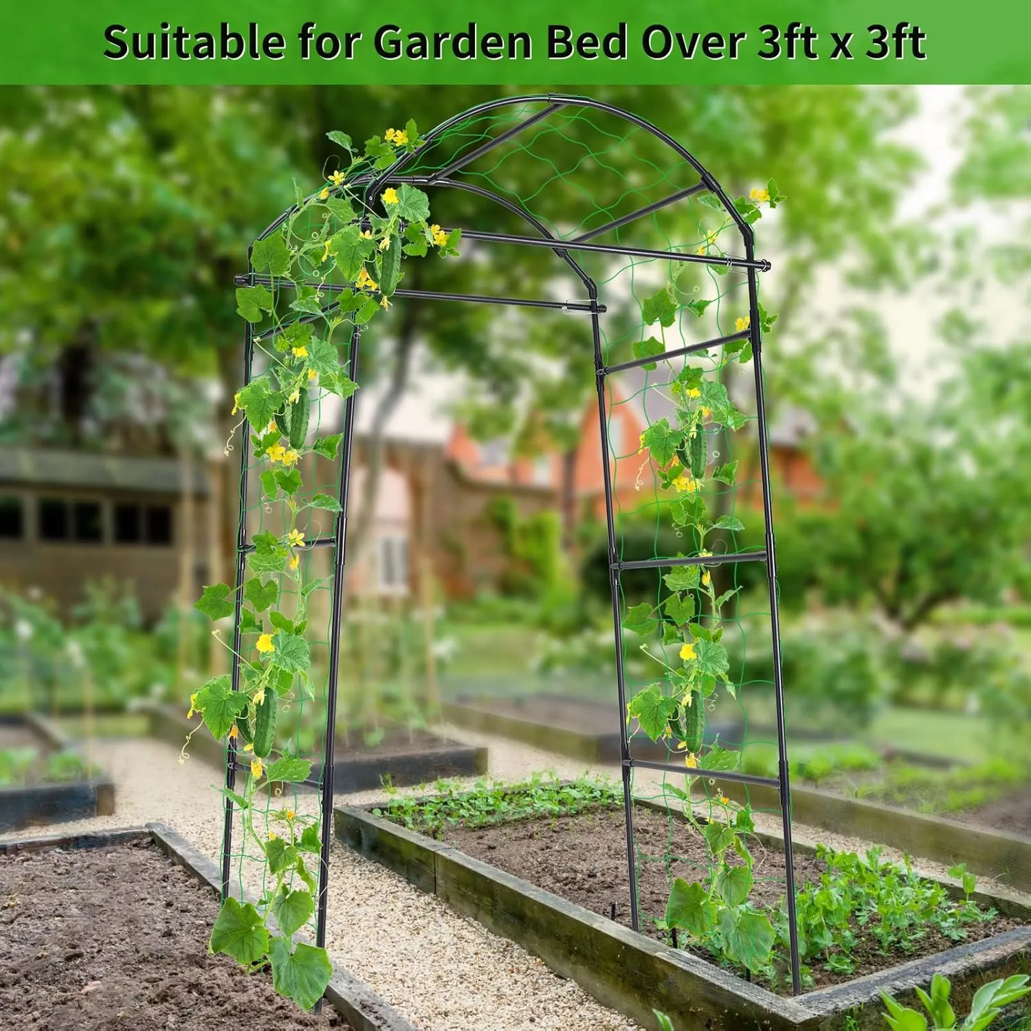 Garden Arch Trellis for Climbing Plants Outdoor, 6.7ft Tall Cucumber Trellis for Raised Bed, Arbor Climbing Plant Support Vegetable Tomato Bean Pea Grape Vine Trellis, Lightweight