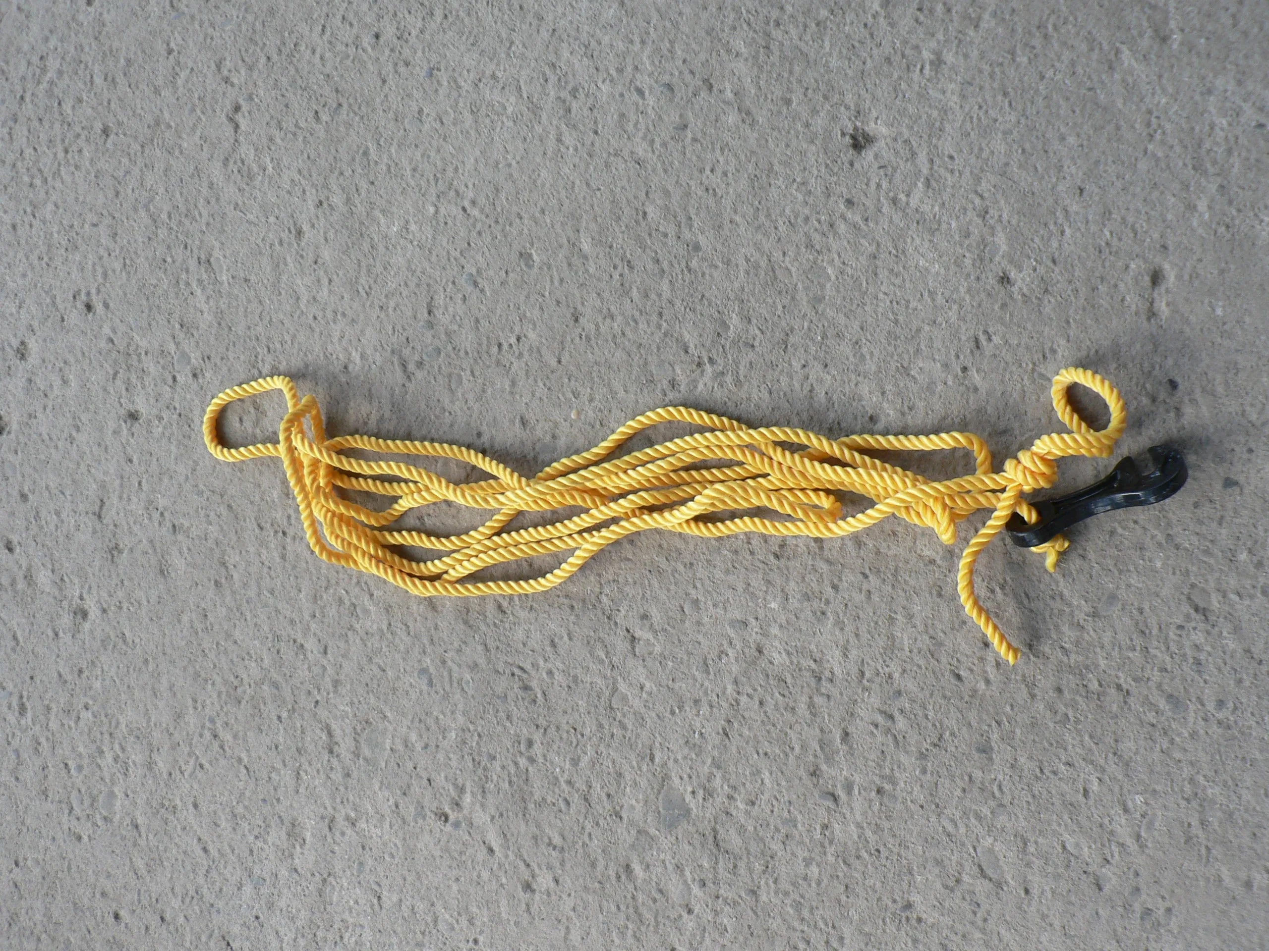 Guy Ropes