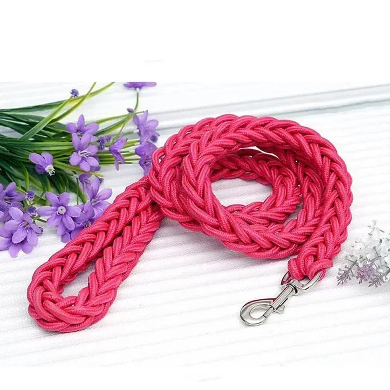 Heavy Duty Nylon Dog Harness Leash