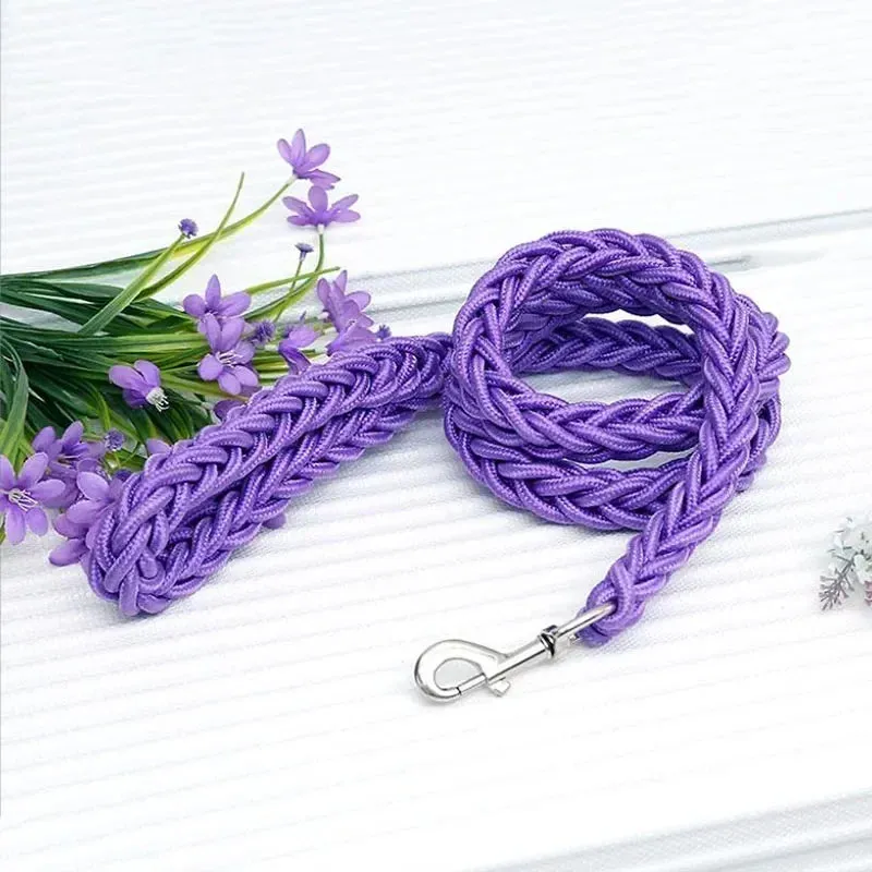 Heavy Duty Nylon Dog Harness Leash