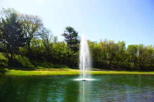 Kasco 2HP J Series Fountain - 240V, 400 Ft Power Cord – Pond and Lake Fountain – Decorative Pond Aerator Outdoor Fountain