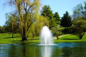 Kasco 2HP J Series Fountain - 240V, 50 Ft Power Cord – Pond and Lake Fountain – Decorative Pond Aerator Outdoor Fountain