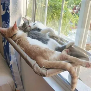 LoveKit - Cat Hammock for Windows