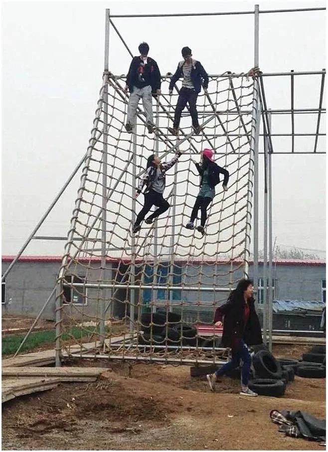 LSR Playground Climbing Net for Kids,Outdoor Climbing Cargo Net for Adult, Climbing Net for Swingset, Jungle Gym Climbing Heavy Duty Climb Rope of Swing Bridge