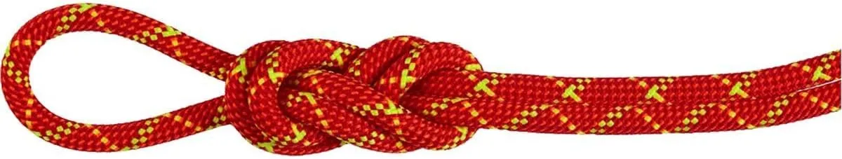Mammut, 8.0 Alpine Core Protect Dry Rope