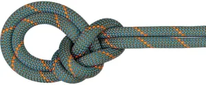 Mammut, Crag Workhorse Dry Rope - 9.9mm