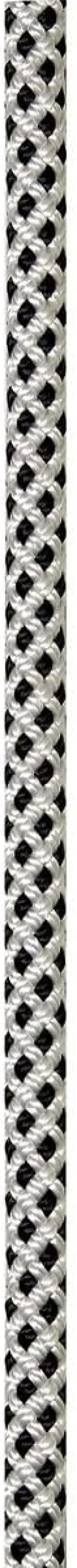 PETZL, RAY 11 mm Static kernmantle Rope with Good Grip for Work at Height and Technical Rescue, 200 ft, White