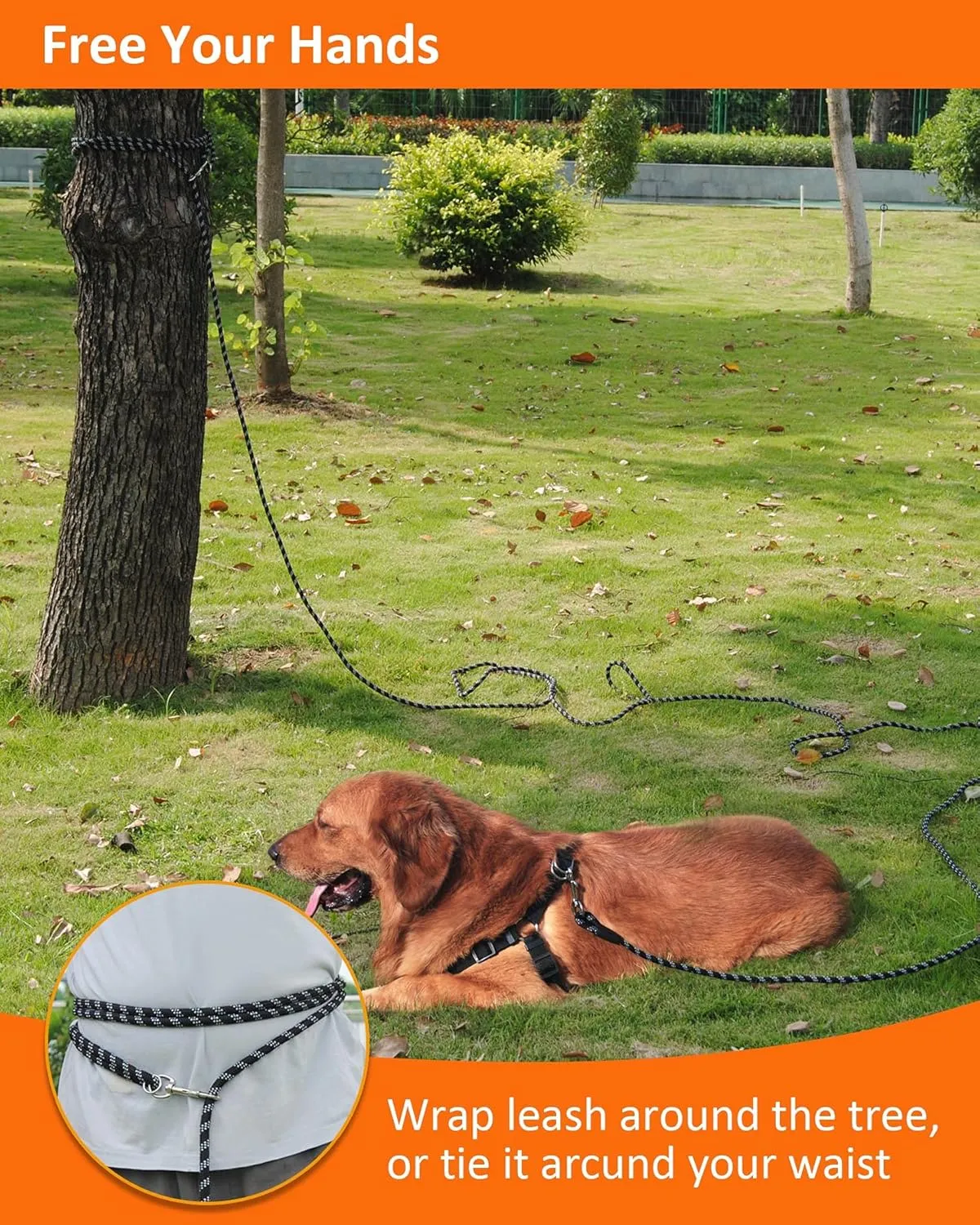Reflective Rope Check Cord Dog Leash - 16FT/50FT, Heavy Duty for Large, Medium, Small Dogs - Walking, Camping, Yard