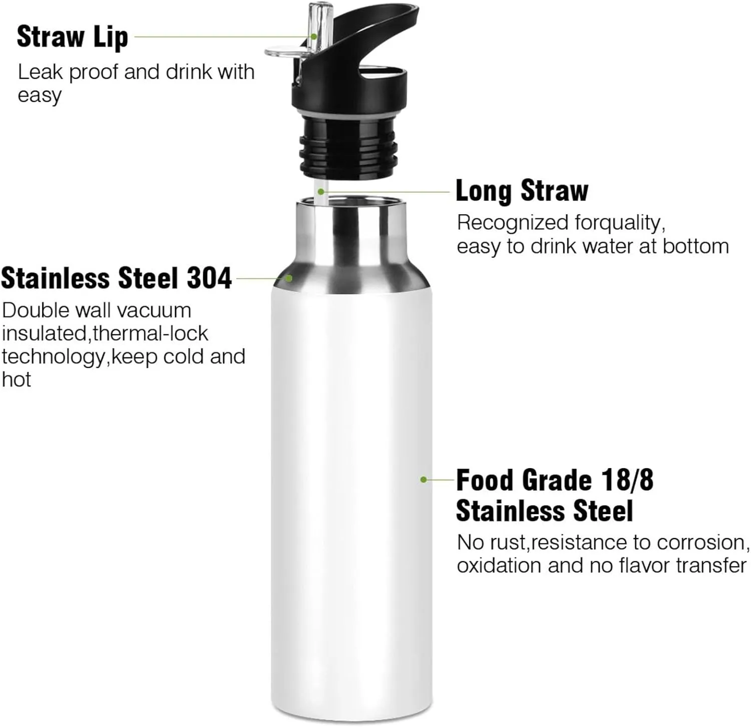senya 20 Oz Water Bottle with Straw Koala and Flowers Stainless Steel Water Bottle for Traveling Sports Leakproof Insulated