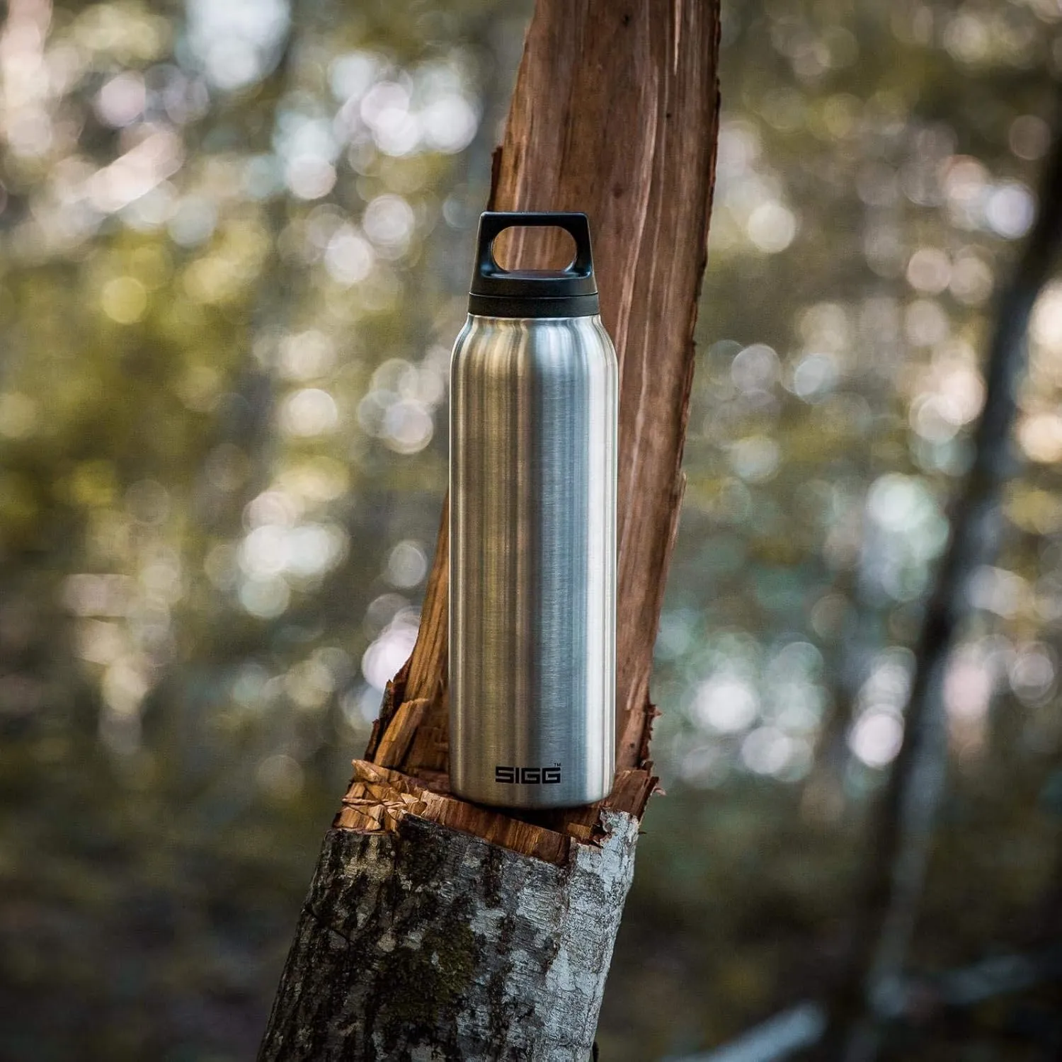 SIGG - Insulated Water Bottle - Thermo Flask Hot & Cold - Leakproof - BPA Free - 18/8 Stainless Steel - 17 Oz
