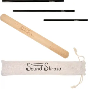 Sound Straw Vocal Training and Healing Aid