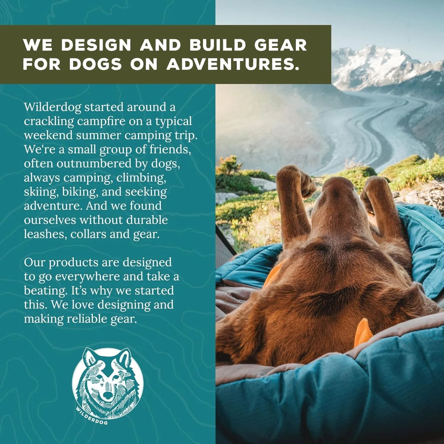 Wilderdog Climbing Rope Dog Collar - Outdoor Durable Climbing Rope Design with Heavy-Duty Secure Hardware for Safety - Adjustable to fit 17"-24" Around with a 1" Band - Large - Pacific Blue