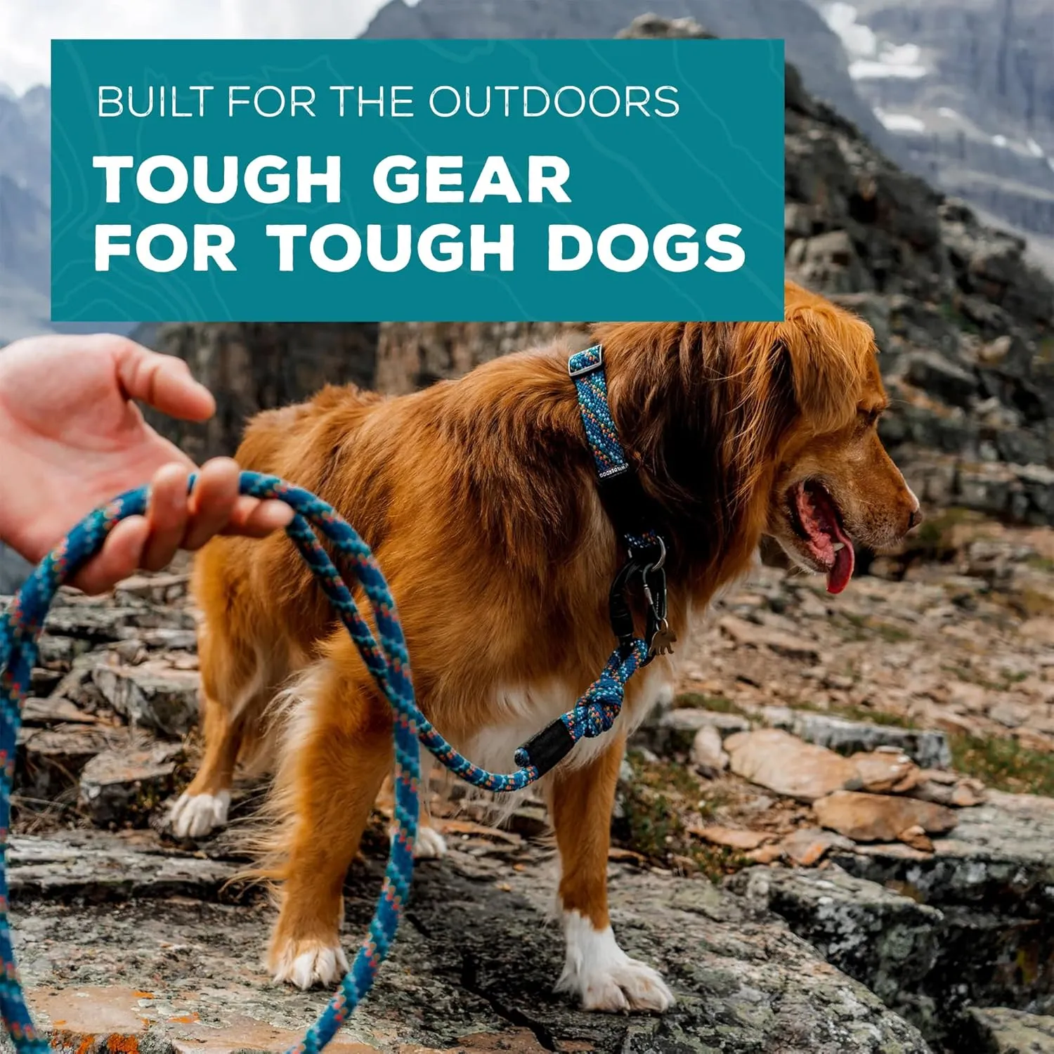 Wilderdog Climbing Rope Dog Collar - Outdoor Durable Climbing Rope Design with Heavy-Duty Secure Hardware for Safety - Adjustable to fit 17"-24" Around with a 1" Band - Large - Pacific Blue
